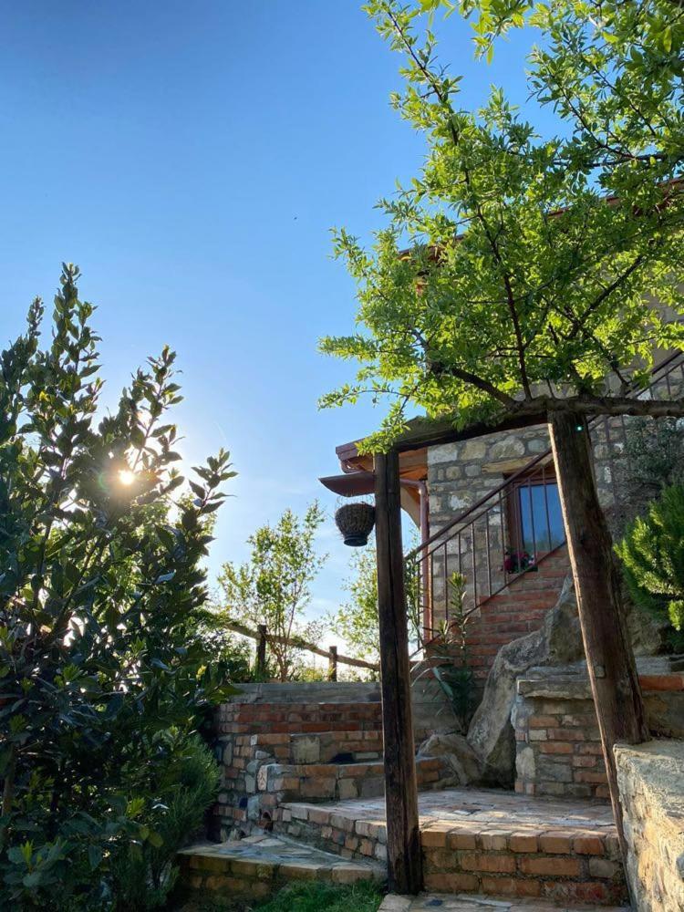 Villa Bujtina Salko Mucaj